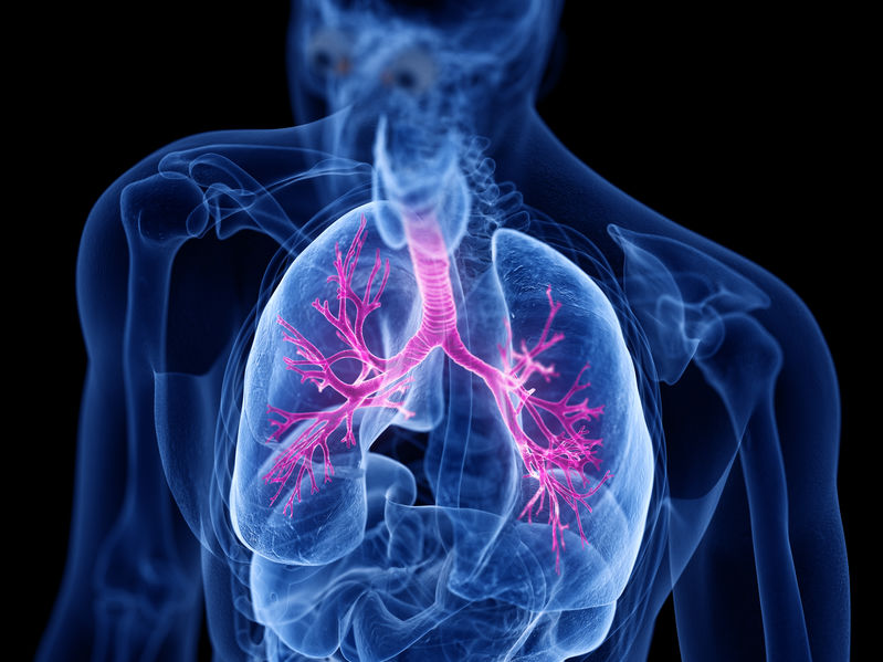 Consejos prácticos para el control del asma y enfermedades respiratorias en casa